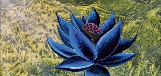 black lotus