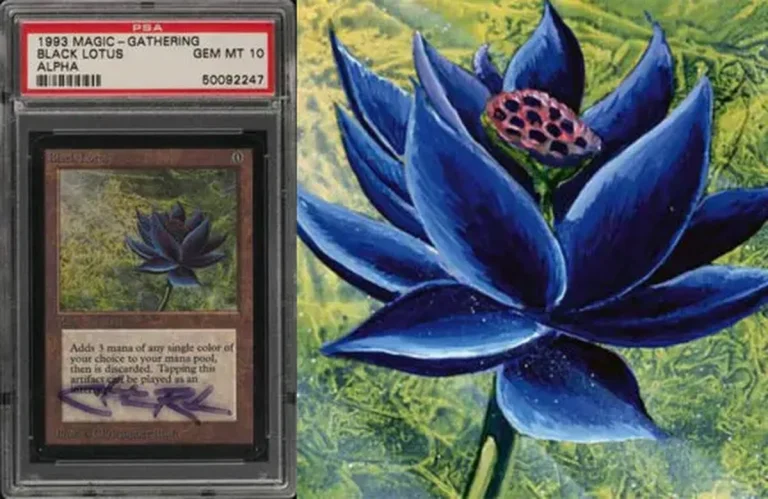 signed-alpha-black-lotus