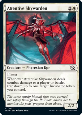 Attentive-Skywarden