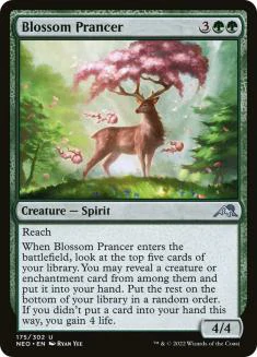 blossom_prancer