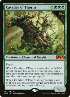 cavalier_of_thorns