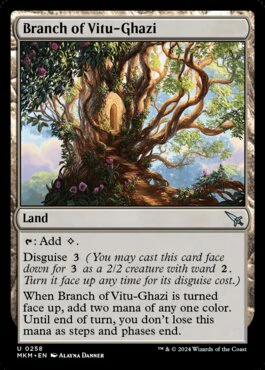 Branch-of-Vitu-Ghazi