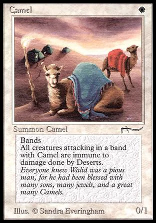 Camel
