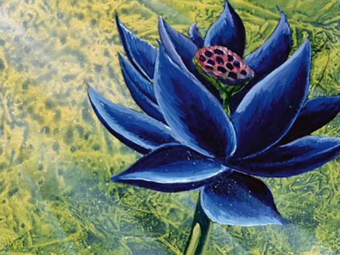 black_lotus