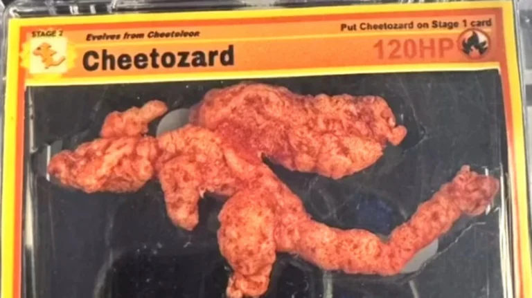 Cheetozard