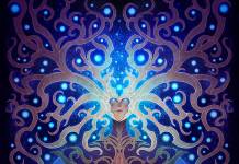Omniscience