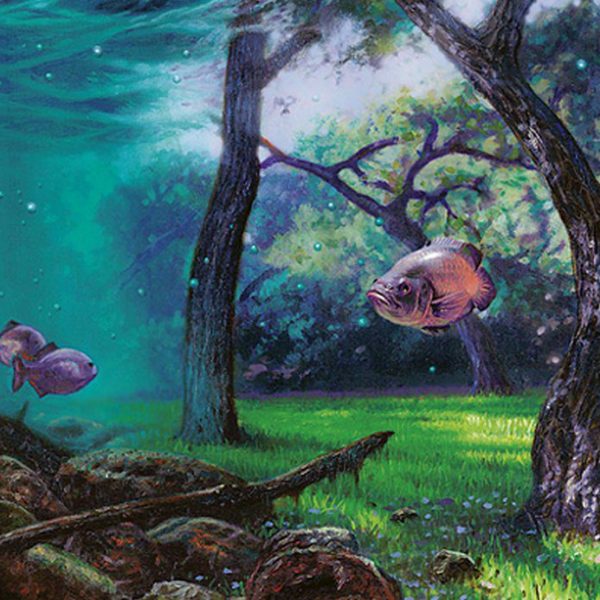 Reliquias Del Bosque: Los Tesoros Más Valiosos Del Bloque Lorwyn.