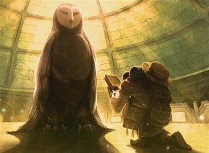 Accumulate Wisdom illustrated by Gemi