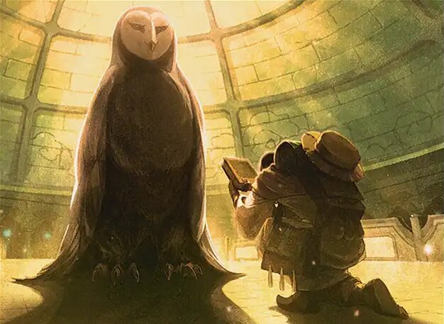 Accumulate Wisdom illustrated by Gemi Accumulate Wisdom illustrated by Gemi