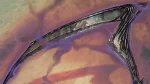 scythe of the wretched art