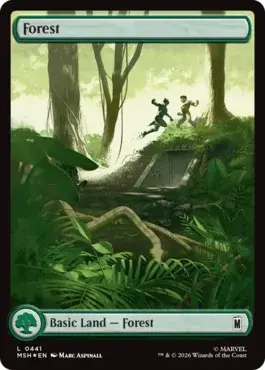 card image (4)