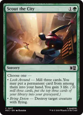 card image (6)