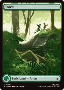 card image (9)