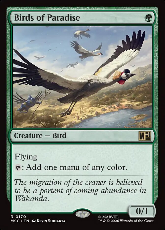 msc 170 birds of paradise