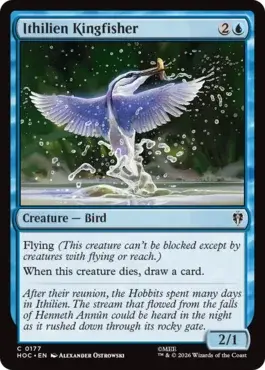 card image (19)