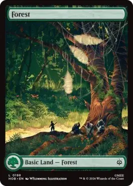 card image (5)