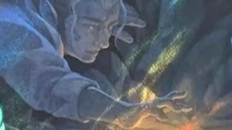 fateful discovery 11zon.jpg