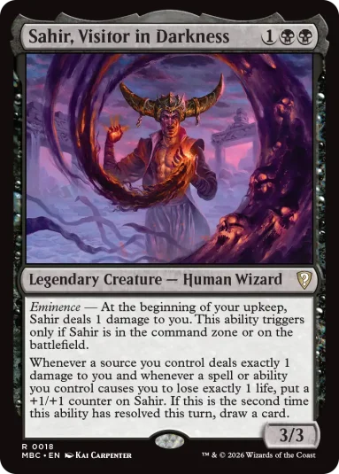 d2c5df3b sahir visitor in darkness 383x535