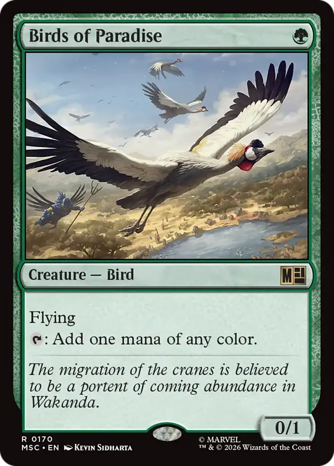 msc 170 birds of paradise
