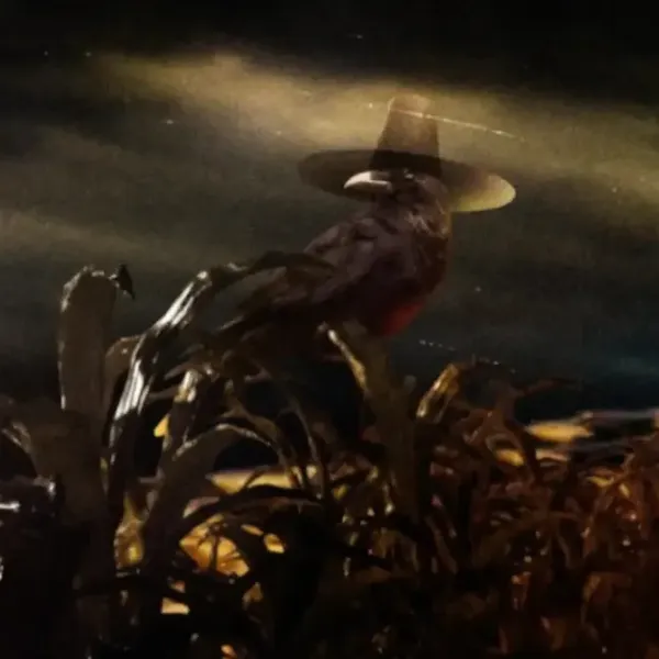 MTG Corn Maze Superdrop Bird Teaser 1536x864
