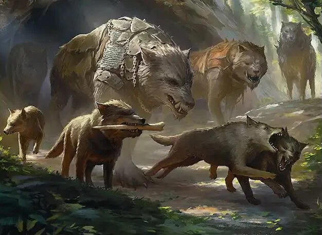 chief wargs company 151