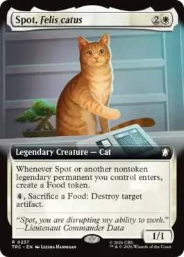 card image (5)